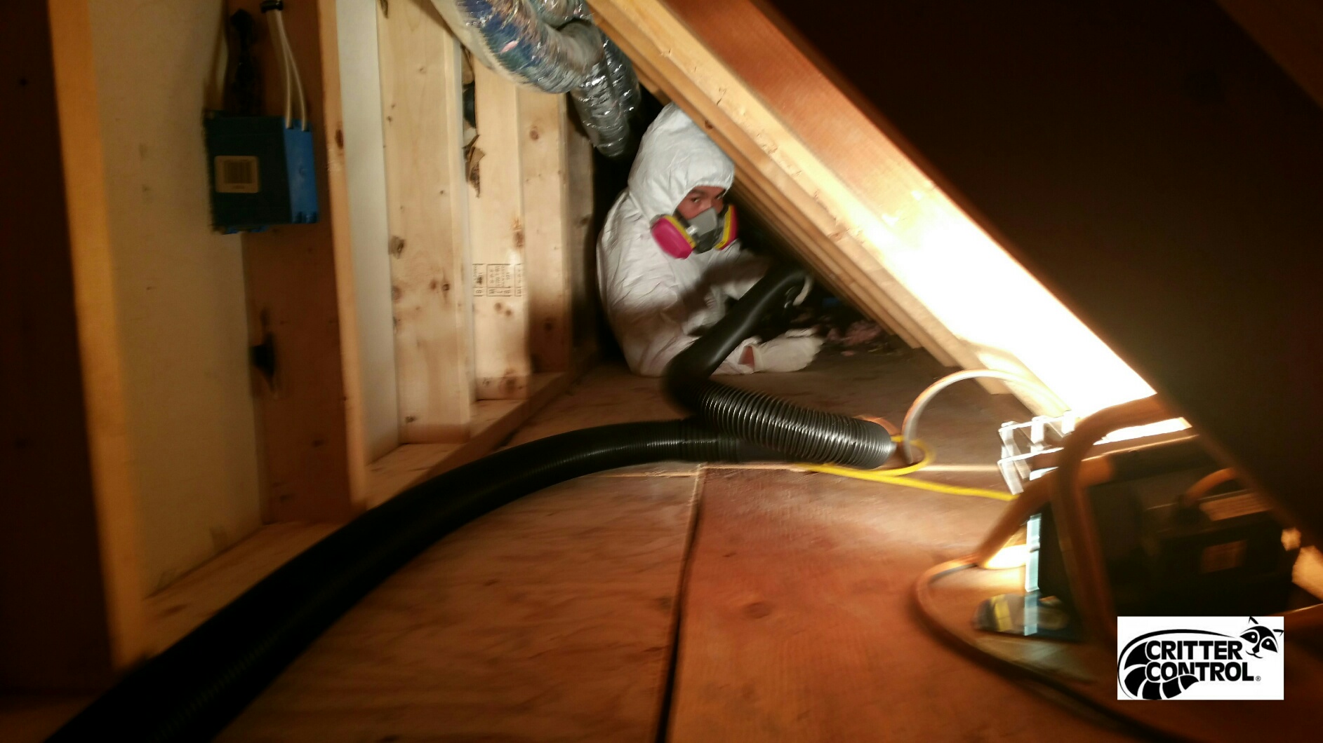 Crawlspace Clean-up | Critter Control of Southern Maine