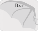 Bat